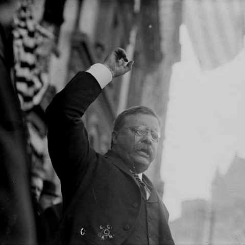 Theodore Roosevelt 'Teddy